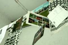 imga0016