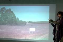 imga0029