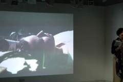 imga0043