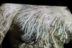Screenshot1