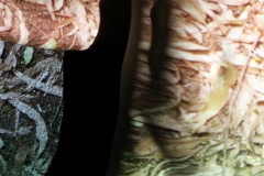 Screenshot2